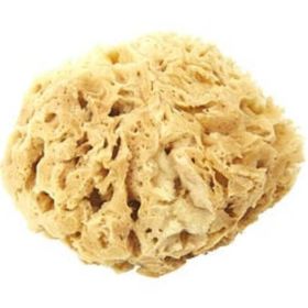 Spa Accessories By Spa Accessories Spa Sister Mediterranean Wool Sponge - Small For Anyone
